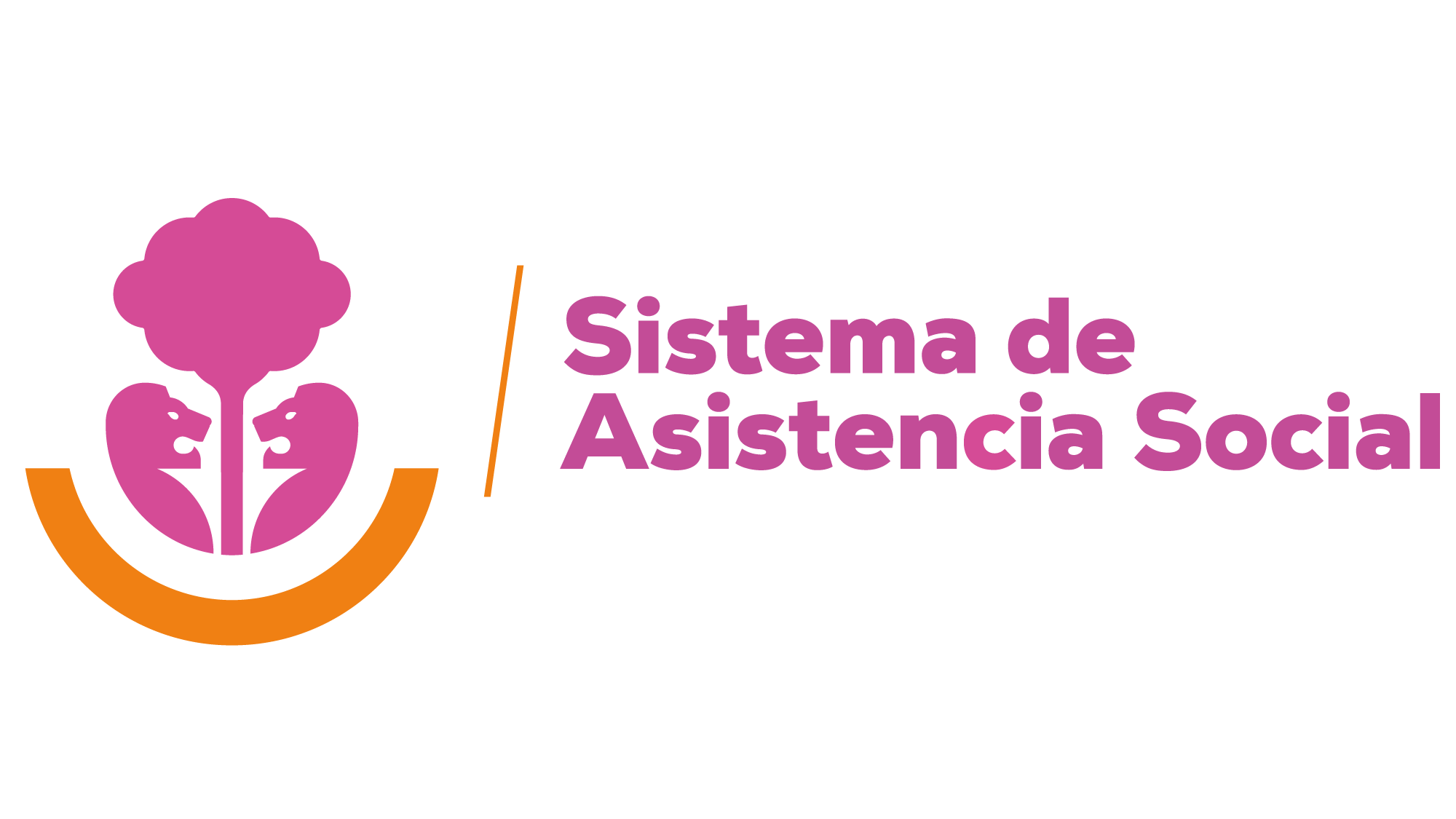 Social Assistance System of Jalisco (OSC Jalisco)